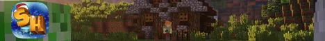 Banner SkyHand