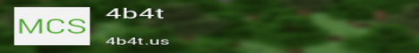 Banner 4b4t