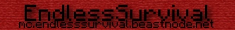 EndlessSurvival Minecraft server banner