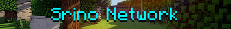 Banner Srino Network