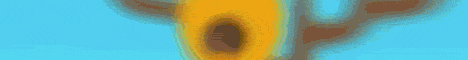 Banner JartonMC