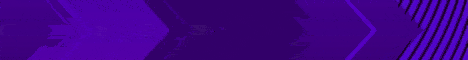 Banner EpicMC