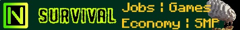 NEXD Minecraft server banner