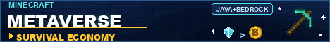 Minecraft Metaverse Minecraft server banner
