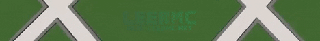 LeerMC Minecraft server banner