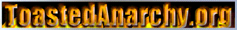 ToastedAnarchy Minecraft server banner