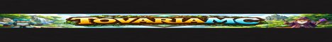 TovariaMC Minecraft server banner