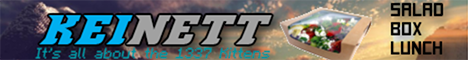 Banner KeiNett Gaming