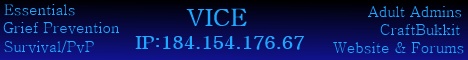 VICE Minecraft server banner
