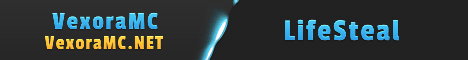 VexoraMC Minecraft server banner