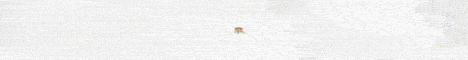 Empire Legacy Minecraft server banner