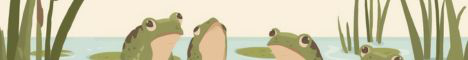 FroggieMC Minecraft server banner
