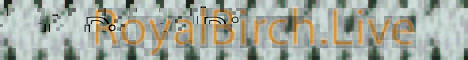 Royal Birch Minecraft server banner