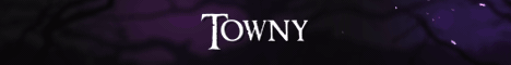 Banner Void Realms