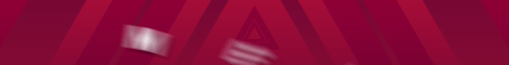 Banner Melius SMP