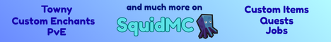 Banner SquidMC