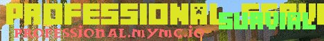Professional Server Minecraft server banner