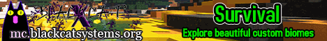 Black Cat X Minecraft server banner
