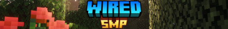 WiredSMP Minecraft server banner