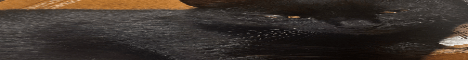 meandmental Minecraft server banner