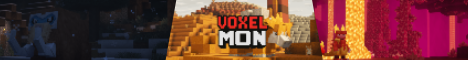 Banner VoxelMon