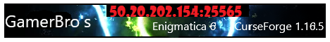 GamerBro Enigmatica 8 Minecraft server banner