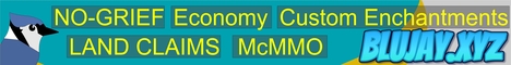 blujay.xyz Minecraft server banner