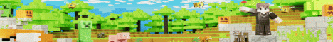 Banner Reforged Network