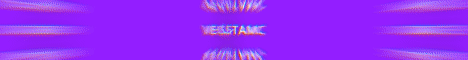 VegetaMC Minecraft server banner