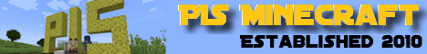 PIS Minecraft Minecraft server banner