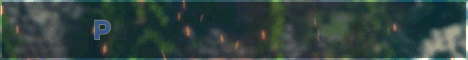 ParadiseMC Minecraft-Server-Banner