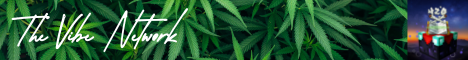Banner The Vibe Network
