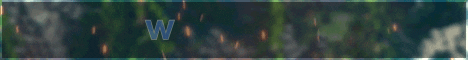 Wildspire Skyblock Minecraft server banner