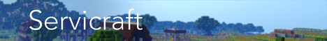 Banner Servicraft