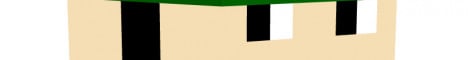 LamaSMP Minecraft server banner