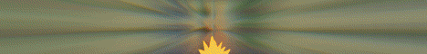 Banner PokeWild