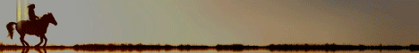 Pinecraft Equestrian Minecraft server banner