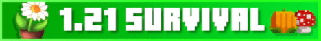 Epic Survival Minecraft server banner
