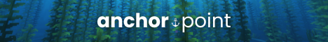 Anchorpoint Minecraft server banner