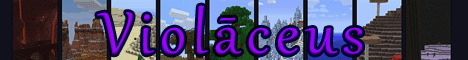 Violaceus Minecraft server banner