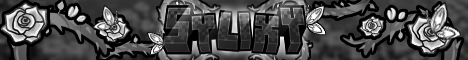 Sylixy Minecraft server banner