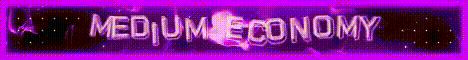 NEVERFL Minecraft server banner