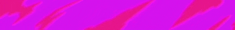 Banner ProyectoX