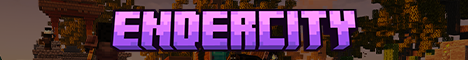 Banner Server 356258