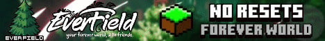 EverField Minecraft server banner