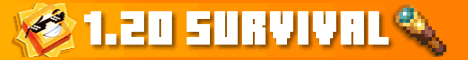 Banner Sunny Survival