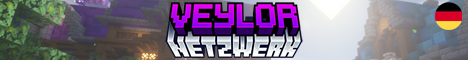 Banner Veylor.NET