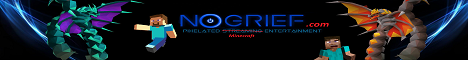 Pixelated Reality Minecraft server banner