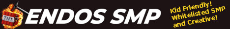 Banner ENDOS SMP