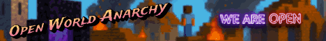 Banner Open World Anarchy
